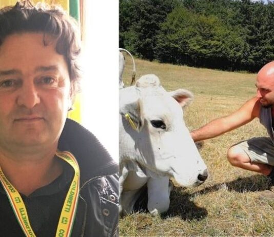 Via libera a carne finta. Coldiretti: “Questa non è una bistecca”