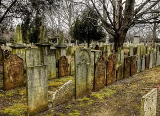 Primo novembre, modifica alla viabilità sulla strada comunale delle Ville (Terranuova)