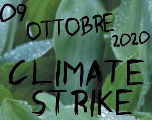 La crisi climatica: Fridays for Future Arezzo alza la voce (con la mascherina)