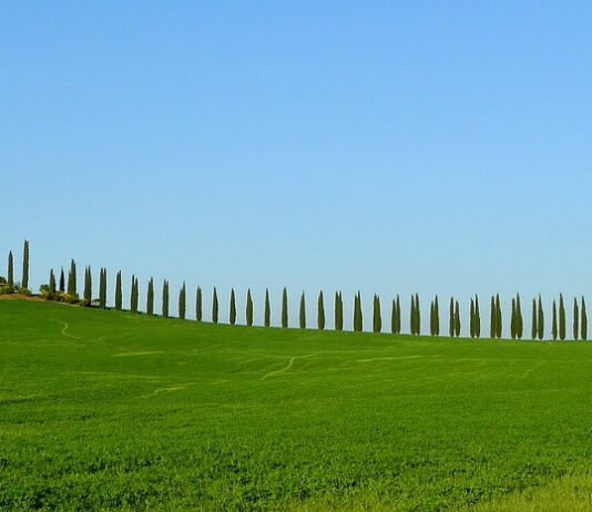 La vicepresidente Saccardi a Coldiretti: “Nessun rischio di perdere i fondi europei”