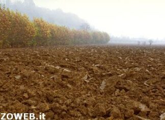 Agricoltura, prorogata scadenza domande per anticipo e stato avanzamento lavori