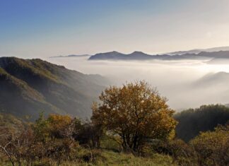 Il parco nazionale Foreste casentinesi, monte Falterona e Campigna candidato alla ‘Green list’ della IUCN, il primo standard mondiale per la certificazione della qualità ambientale nelle aree protette