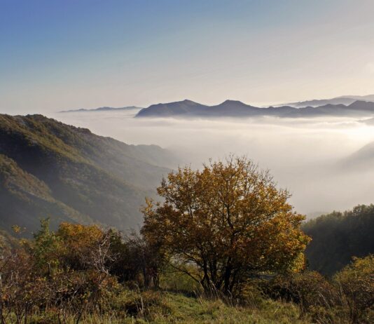 Il parco nazionale Foreste casentinesi, monte Falterona e Campigna candidato alla ‘Green list’ della IUCN, il primo standard mondiale per la certificazione della qualità ambientale nelle aree protette