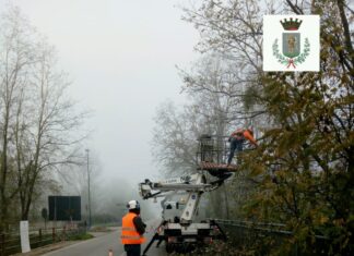 Pista ciclopedonale dell’Arno, iniziati i lavori di abbattimento di alberi lungo la Sr. 69