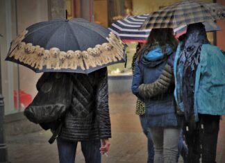 Maltempo, codice giallo per rischio idrogeologico, vento forte