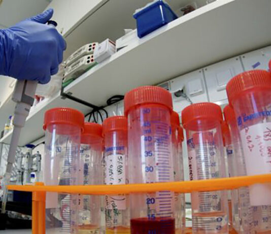 Coronavirus: in Toscana 379 nuovi casi, età media 43 anni. 29 decessi