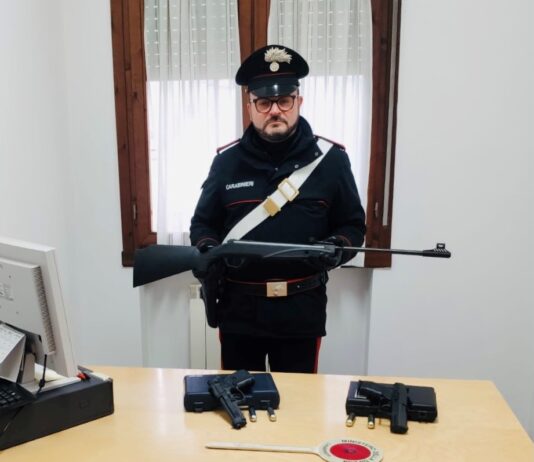 Gatto ucciso a colpi di fucile: denunciato l’autore del delitto