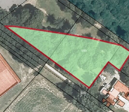 Ex capannina della colonia fluviale: procedura in corso per la concessione dell’utilizzo dell’area per attivita’ di intrattenimento, animazione, svago e somministrazione di alimenti e bevande