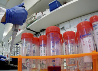 Coronavirus: 13 nuovi casi nell’aretino, 12 persone in degenza covid, 4 in terapia intensiva