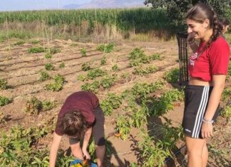 Libera, campi di impegno e formazione sui beni confiscati alla mafia