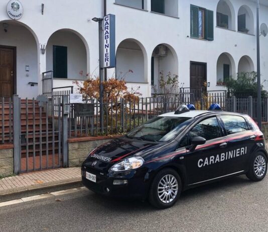 I Carabinieri identificano e denunciare gli autori di due diversi furti