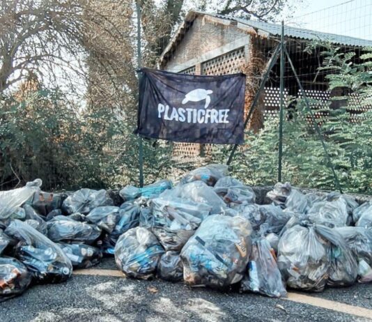 Terranuova: domenica 7 novembre tornano in azione i volontari di Plastic Free