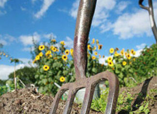 Mcl celebra la Giornata del Ringraziamento