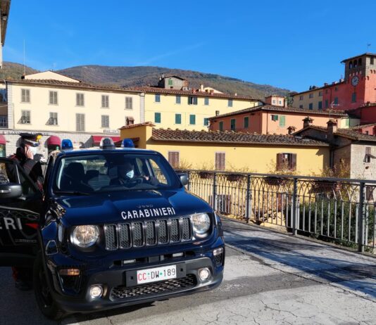 Prevenzione dell’abuso di stupefacenti e bevande alcoliche: due persone denunciate dai carabinieri