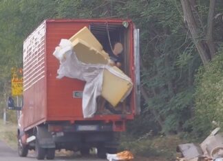 Valdarno, un anno di fototrappole – foto/video