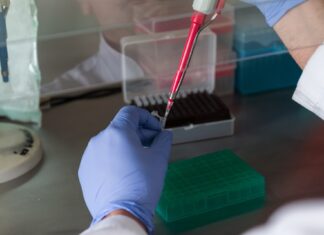 Coronavirus: oggi 27 agosto in Toscana i nuovi casi sono 995. Un decesso