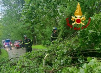 L’intervento dei vigili del fuoco per la rimozione di alcuni alberi caduti nella sede stradale