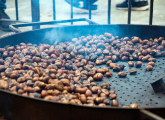 Musica, teatro e cultura nel programma della Festa di Castagnatura