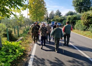 Cinghiali in zona San Paolo a Sansepolcro, il comune si è attivato per scacciarli