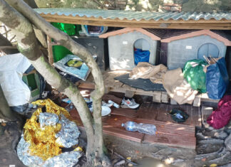 Atti di vandalismo alla colonia felina di Figline Valdarno – foto/video