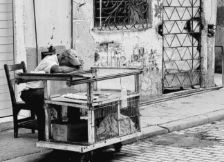 Di ritorno da Cuba: impressioni e foto di un paese che sta male