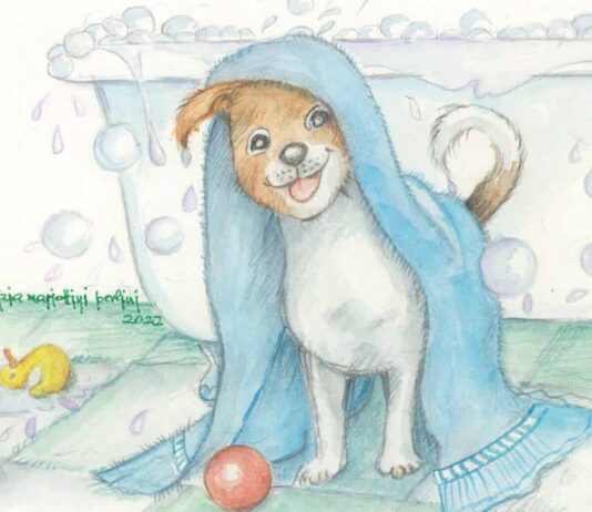 “Nati con la coda”: pronto il calendario Calcit 2023