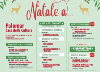 Natale a Palomar