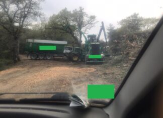 Gargonza: chiusa una delle più importanti indagini sul settore forestale
