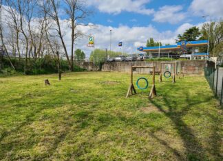 Area sgambamento per cani, sabato l’apertura