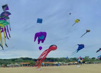 Il Festival Internazionale dell’Aquilone di Cervia – FOTORACCONTO