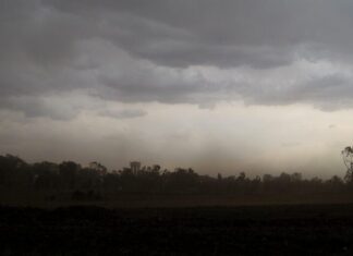 Temporali, vento e mareggiate: martedì 25 codice giallo in tutta la Toscana