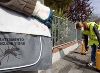 Misure preventive per contrastare la diffusione della zanzara tigre