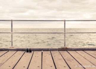 MUSICA PER… Un Ferragosto Fresco ed in Solitudine