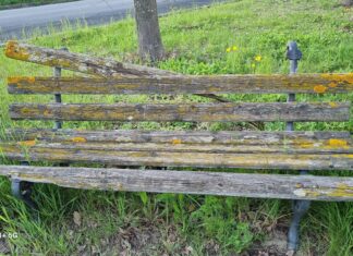 Terranuova: “l’attuale amministrazione si dedica solo ai grandi investimenti e alle opere pubbliche tralasciando la cura del verde, del decoro urbano e non effettuando manutenzioni adeguate per i cimiteri”