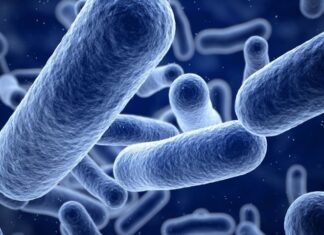 In Giappone è allarme per la ‘malattia carnivora’ da streptococco: ecco cos’è