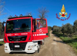 73enne perde la vita travolto dalla motozappa