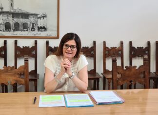 I punti cardine del programma elettorale del candidato Valentina Vadi