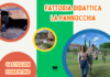 A Castiglion Fiorentino nasce la fattoria didattica “la Pannocchia”