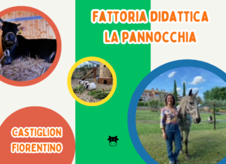 A Castiglion Fiorentino nasce la fattoria didattica “la Pannocchia”