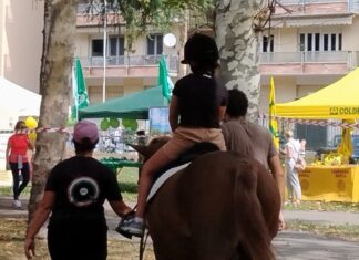 Alla scoperta dei parchi cittadini in sella ad un pony