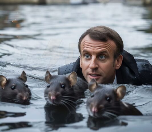 FRANCESI, Loro la fanno, il Mondo ci deve nuotare.