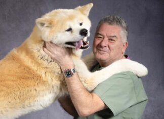 “Gli animali ci salvano” di Alberto Brandi a Villa Severi