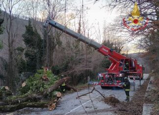 Forte vento su Arezzo: 45 interventi dei Vigili del Fuoco in 24 ore