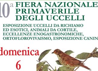 Decima fiera nazionale primaverile degli uccelli a Terranuova Bracciolini