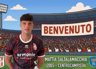 ASD Terranuova Traiana acquisisce il calciatore Mattia Saltalamacchia