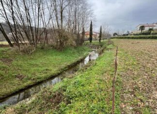 Terranuova Bracciolini: al via piano di manutenzione dei corsi d’acqua