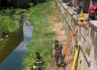 55enne soccorso lungo il fiume Dogana a Montevarchi