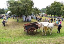 Agricoltura, allevamento e tradizioni contadine alla Fiera del Perdono