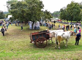 Agricoltura, allevamento e tradizioni contadine alla Fiera del Perdono