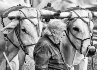 Terranuova: concorso fotografico “La più bella foto del Perdono”